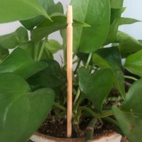 Carved ring Hang tag Plant supporting ground growing 27cm bamboo flower  blunt point sticks